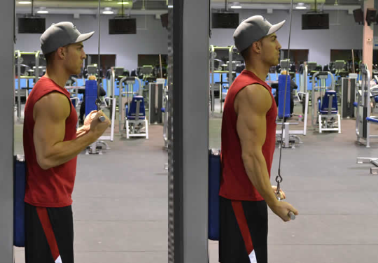 Reverse Grip Tricep Extension