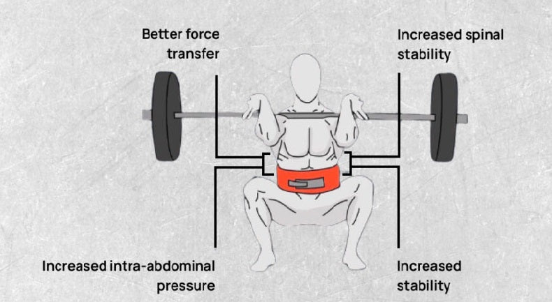 science of lifting belts